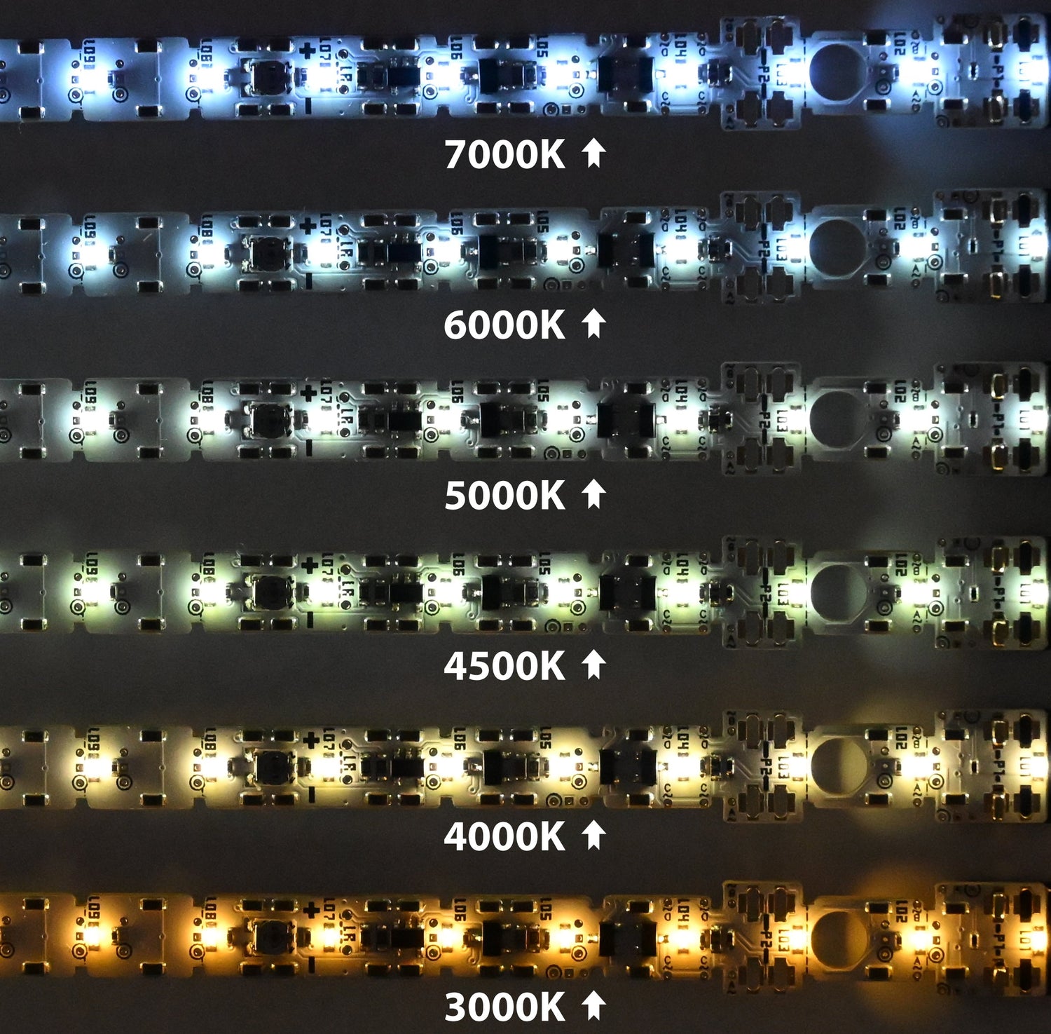 室內燈 - Zero Model